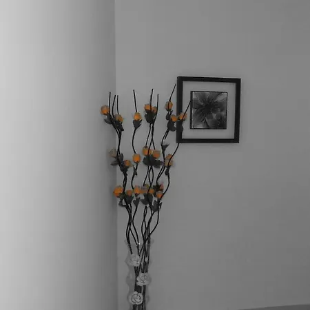 Number 3 Apartman